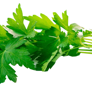 Perejil fresco Pz