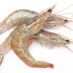 Camarón Fresco Mediano kg