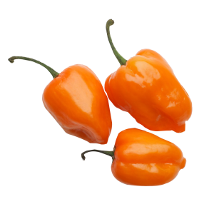 Chile habanero kg