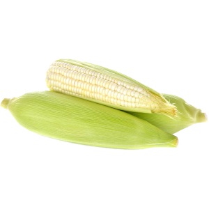 Elote blanco pz